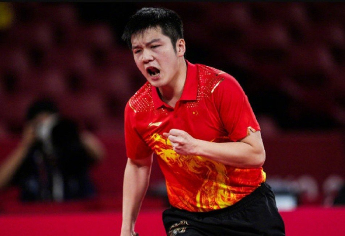 静与弹性 静与弹性